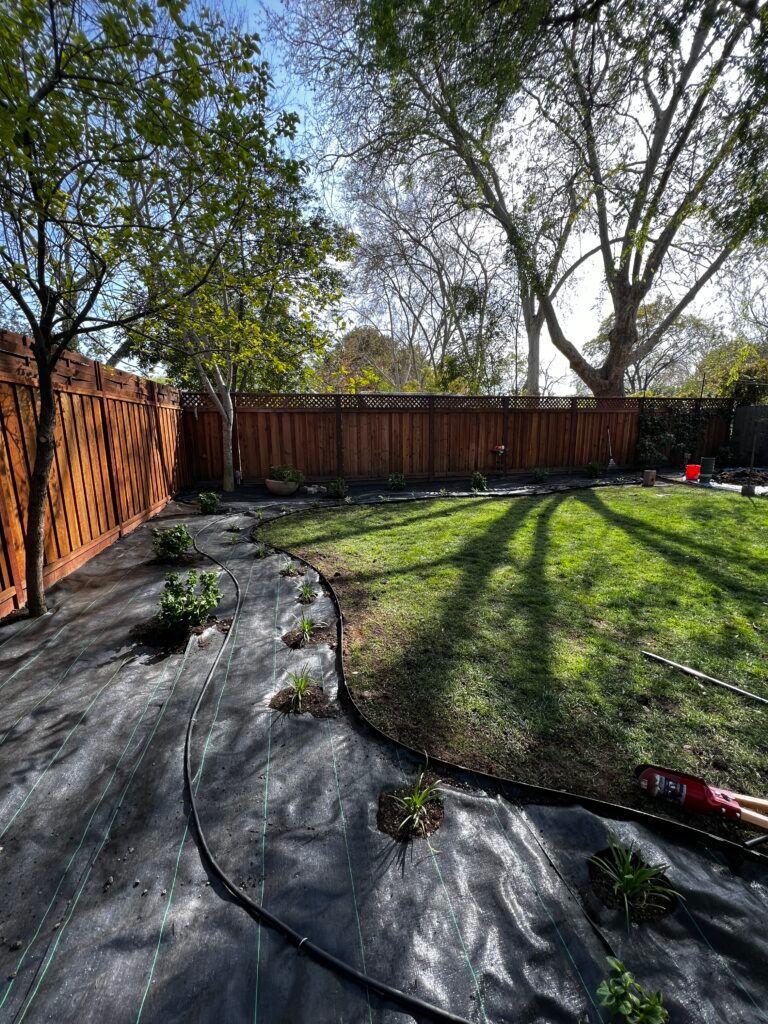 A backyard with a wooden fence and a lush green lawn.