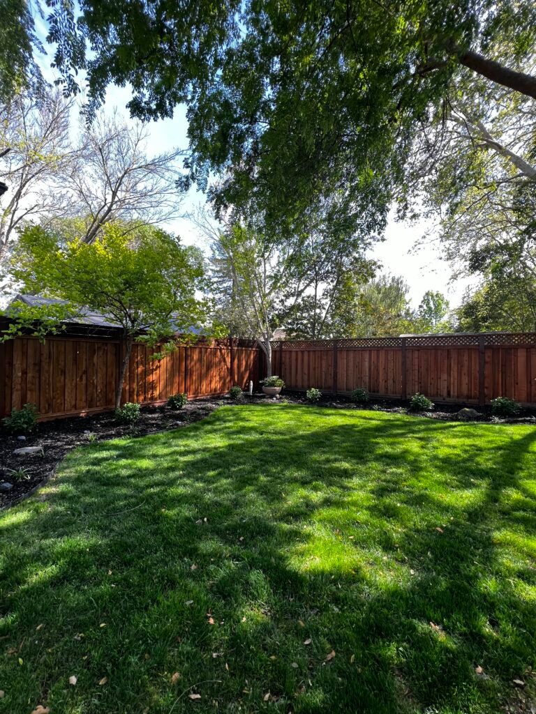 A backyard with a wooden fence and a lush green lawn.