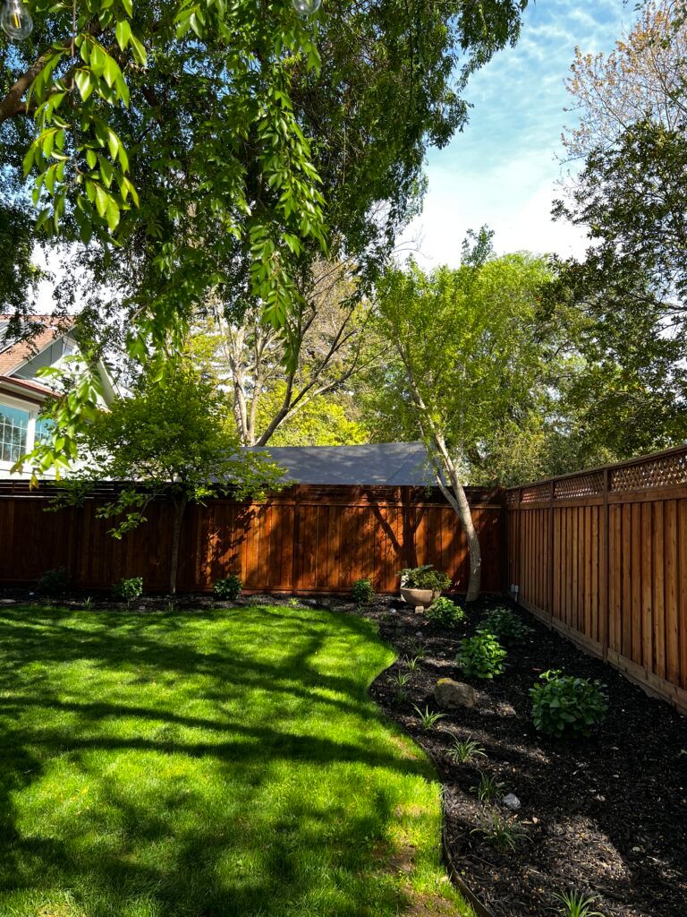 A backyard with a wooden fence and a lush green lawn.