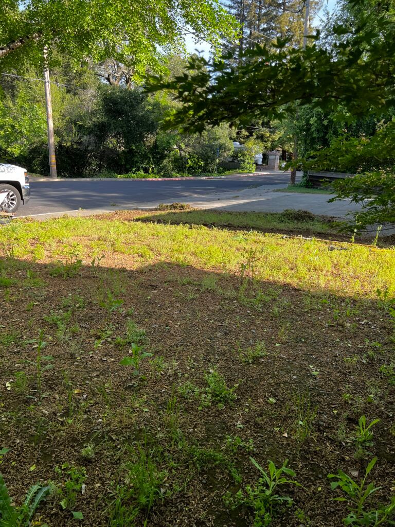 A white truck is parked in the grass next to a road.