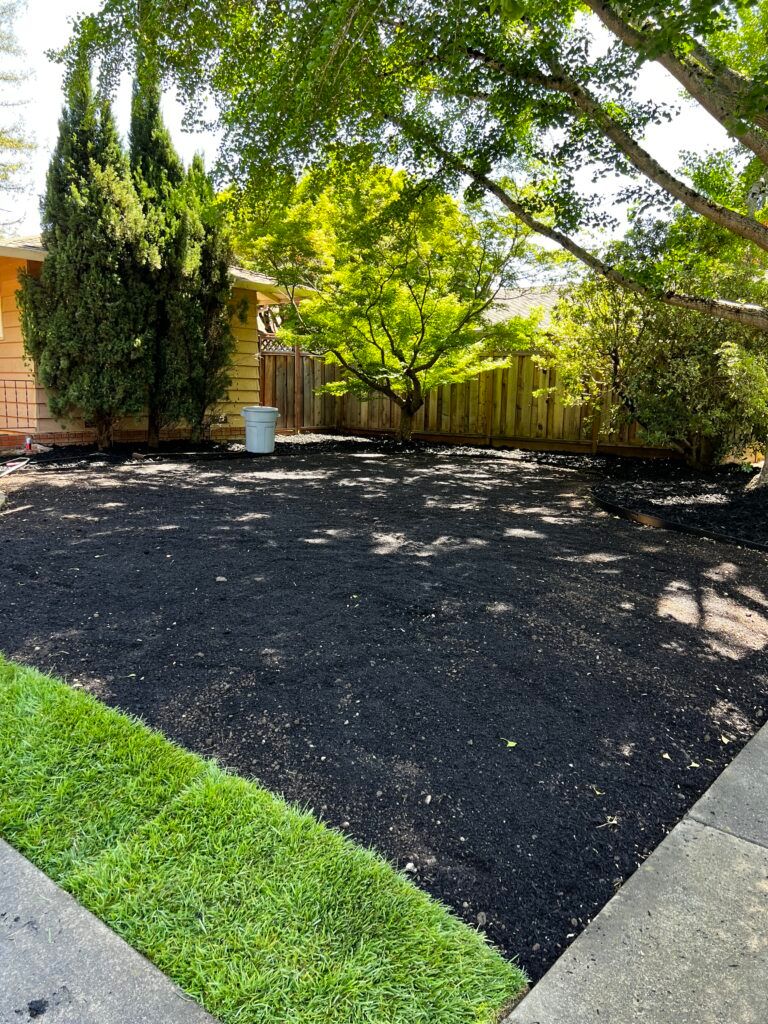 A lush green yard with a fence and trees in front of a house.