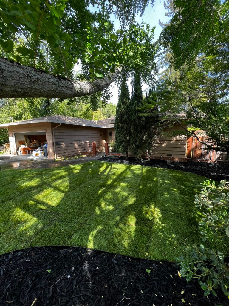 A house with a large lawn and a garage is surrounded by trees.