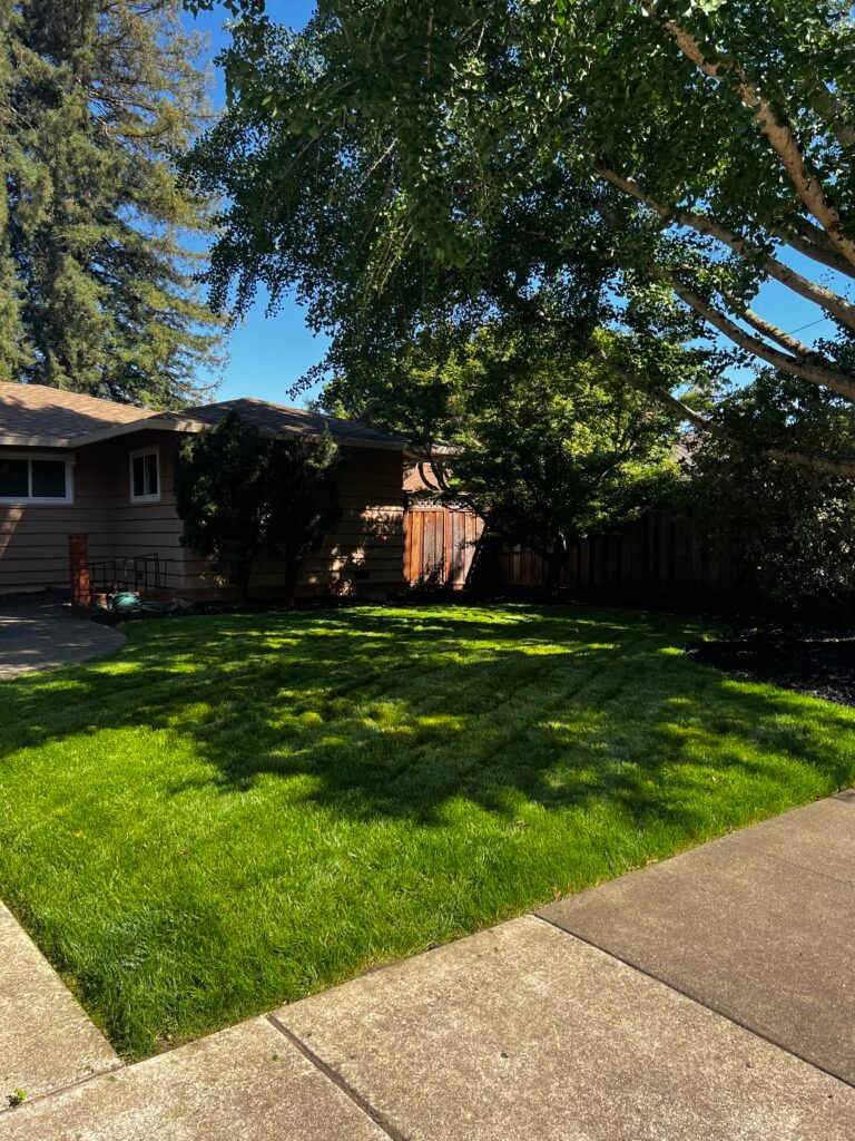 A house with a lush green lawn in front of it.