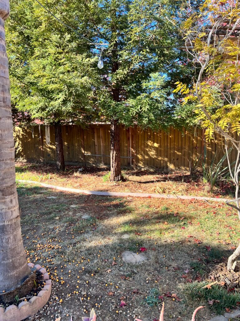 A backyard with a wooden fence and trees in the background.