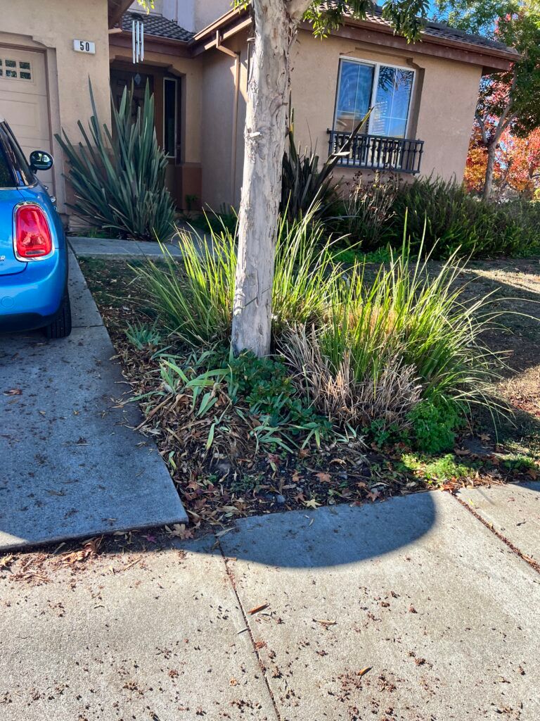 A blue car is parked in front of a house.