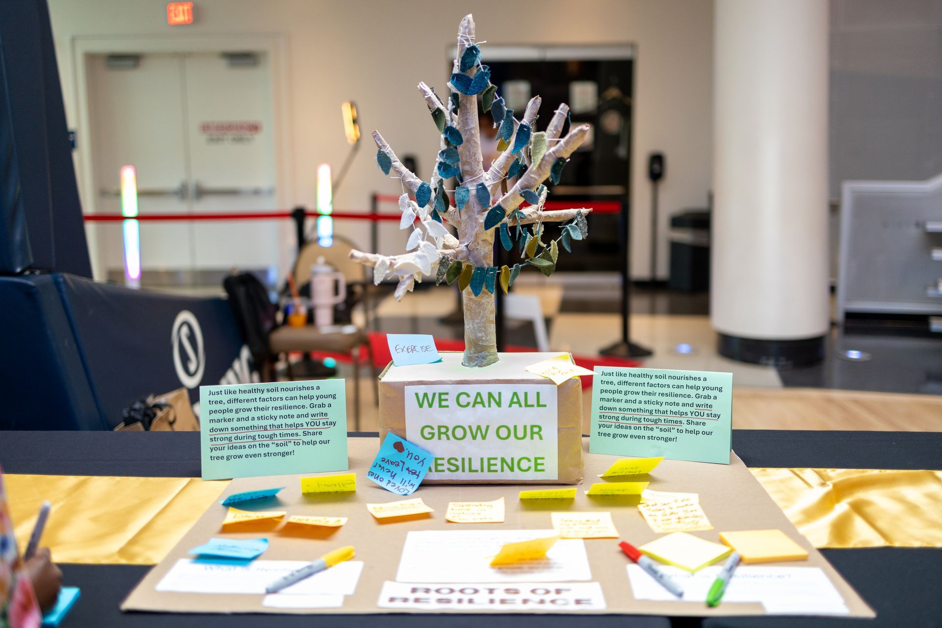 A picture of a project on growing resiliance