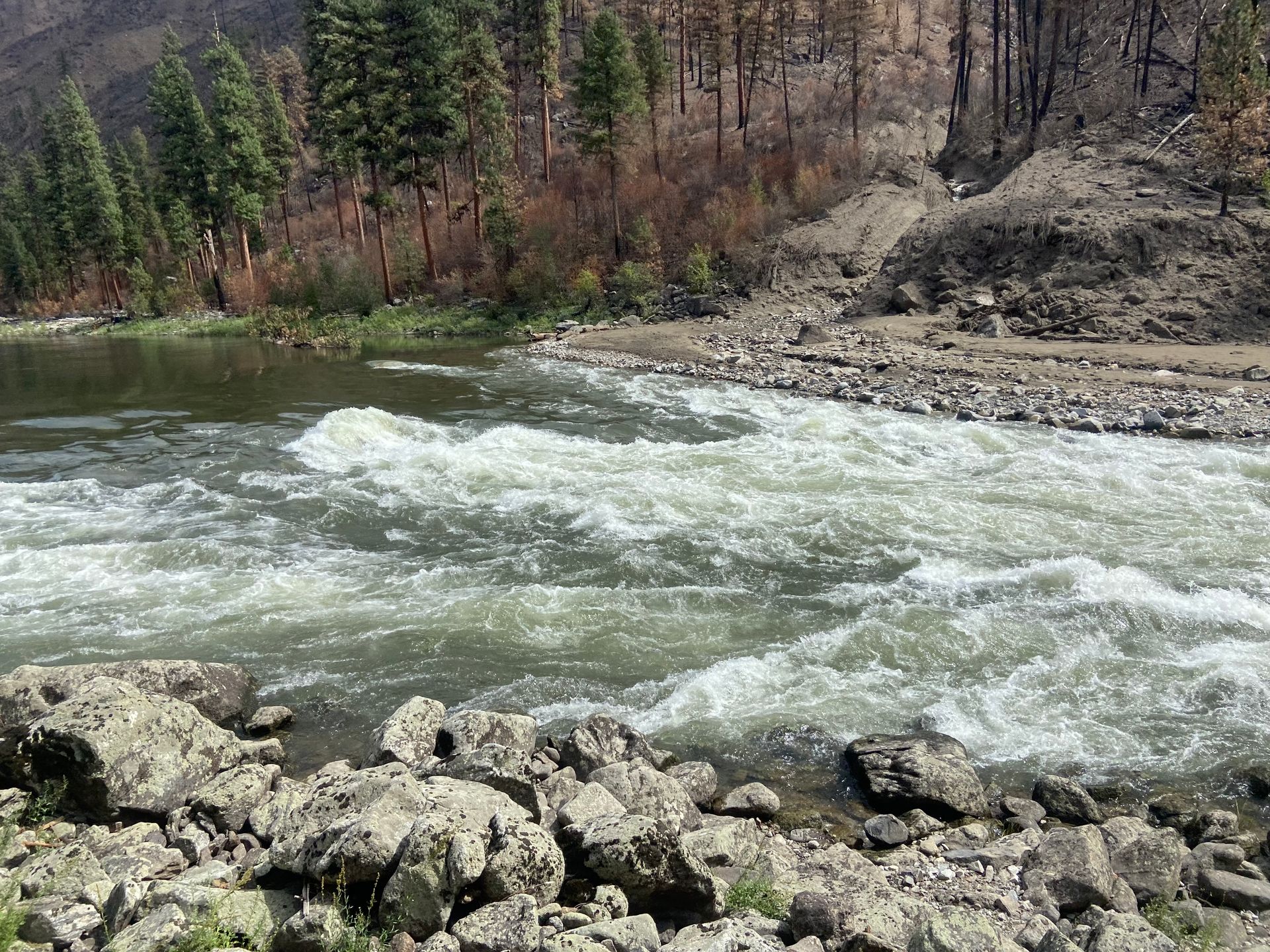 A river flowing through a lush green forest with rocks in the foreground.
