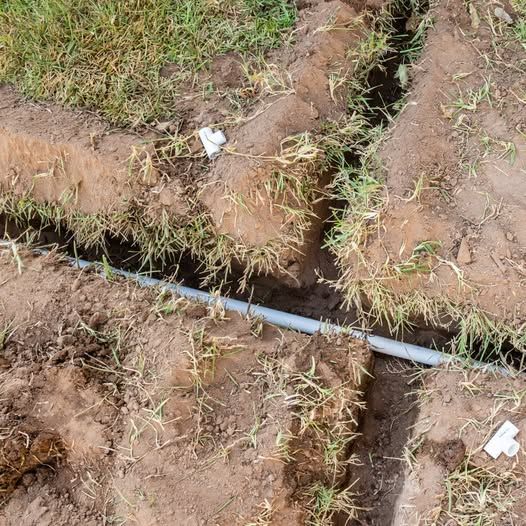 Blue pipe running through a muddy, grassy trench with exposed soil edges