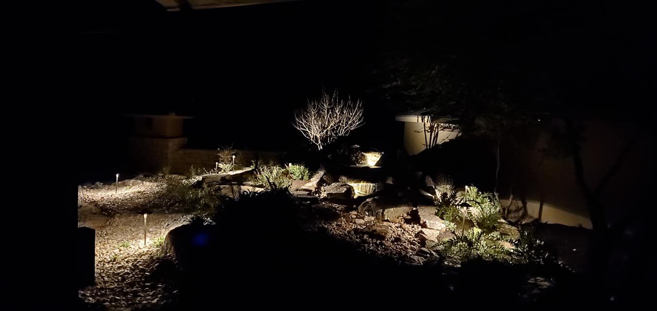 Dark garden path lit by warm lights, with shrubs and a stone border at night