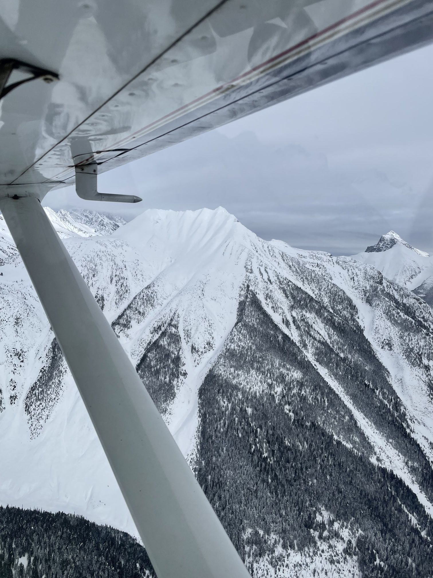 Wing view in the mountains