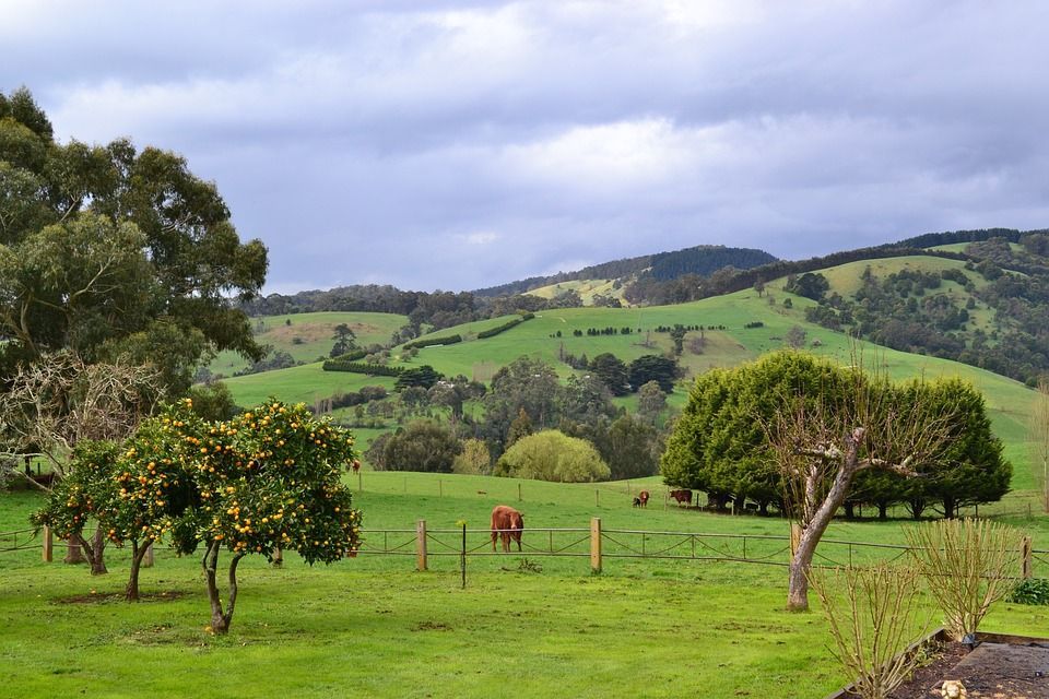 Diocese of Gippsland