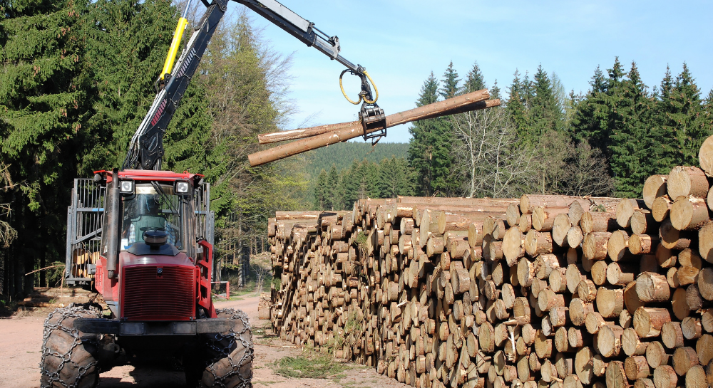 Forestry & Logging