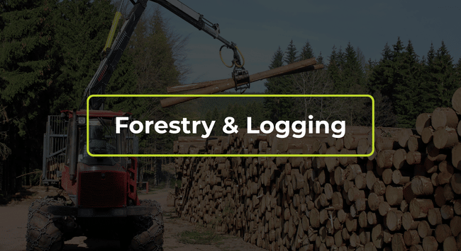 Forestry logging scene with stacked logs and a crane, overlaid with “Forestry & Logging” text.
