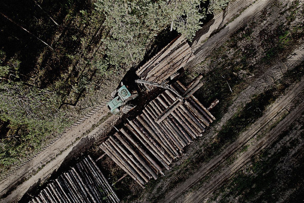 Forestry logging operation safety — SCAN~LINK worker detection system