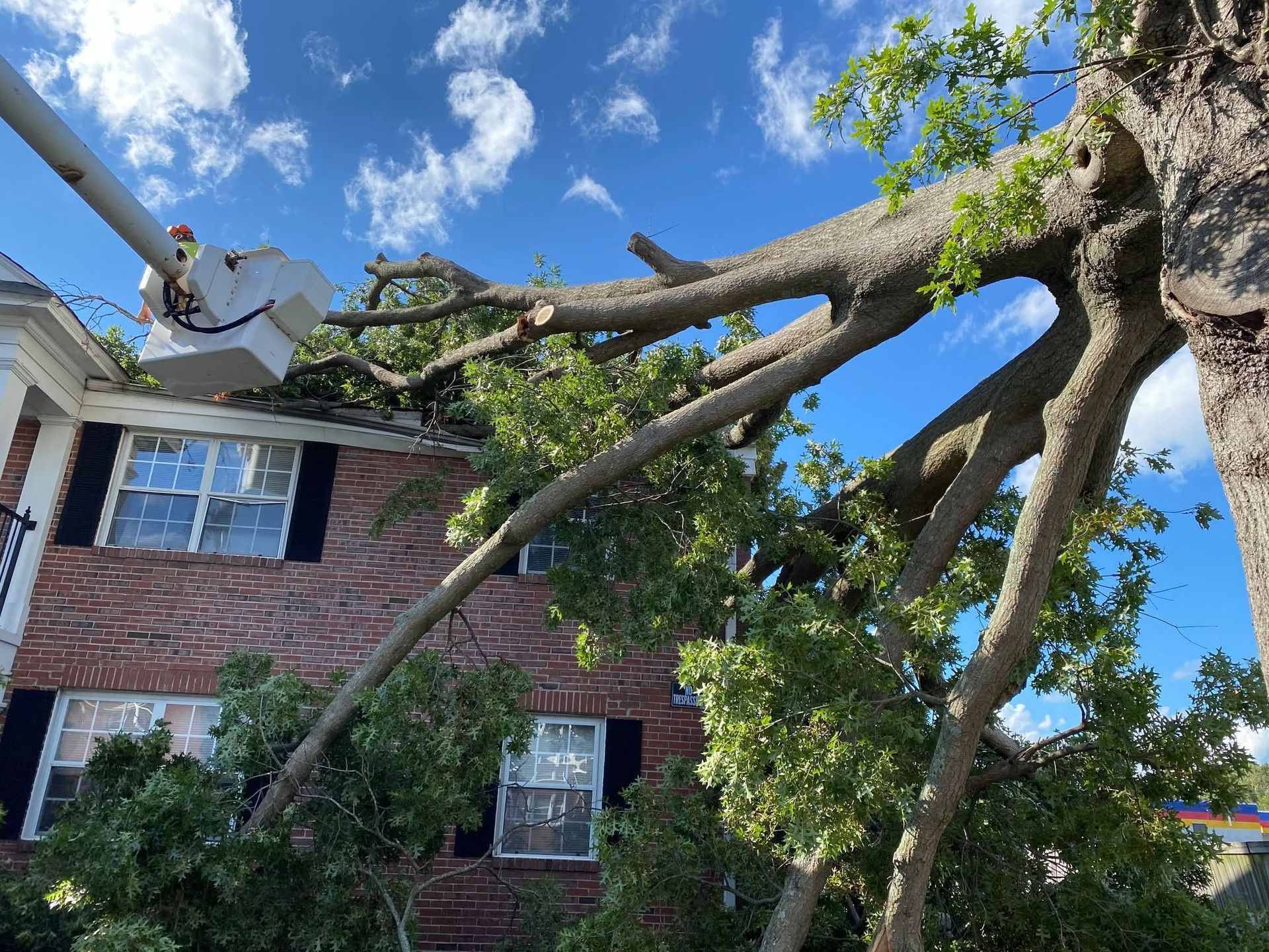 Fallen tree branch resting on a brick house roof under a blue sky