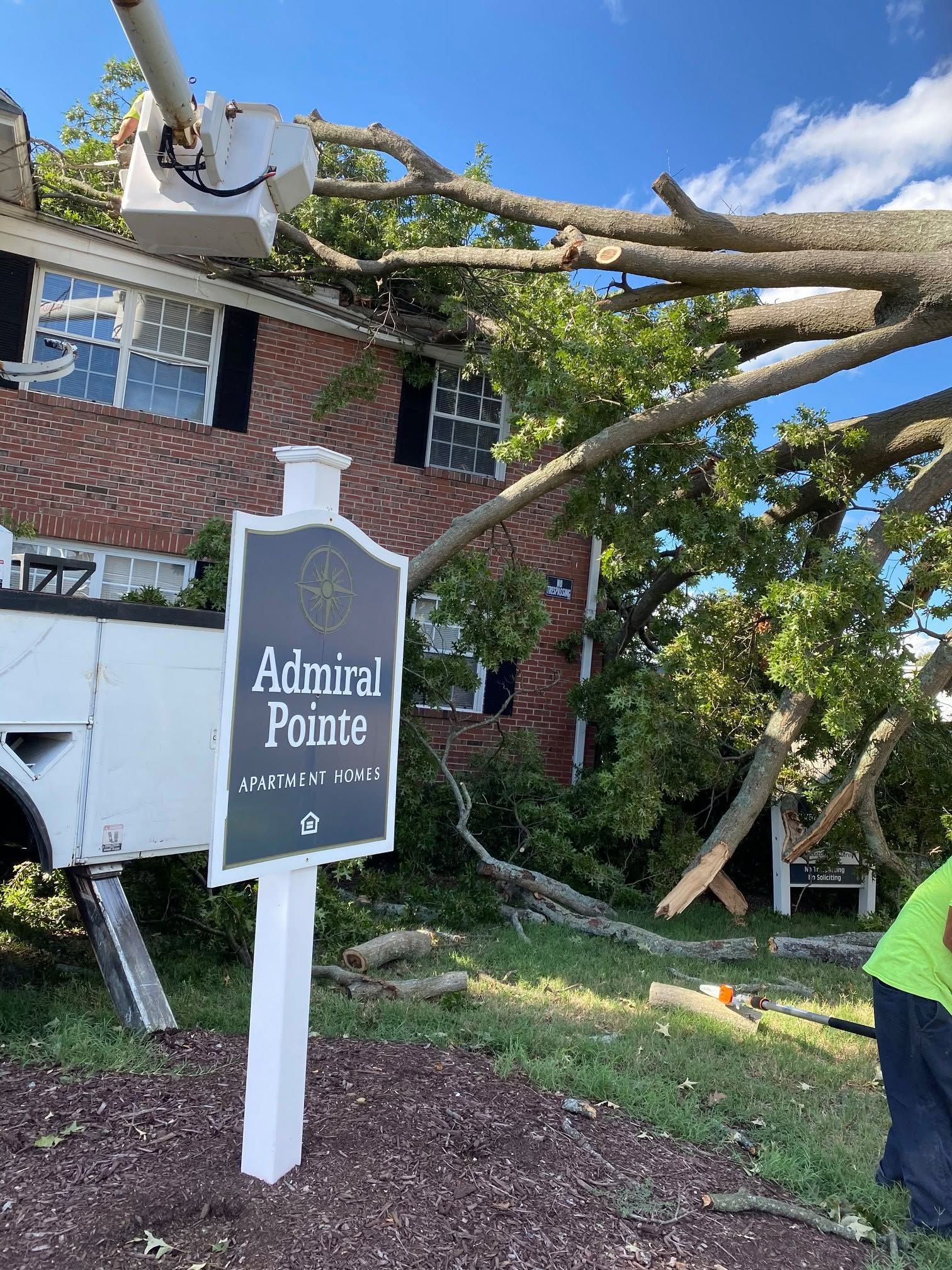 Damaged tree over apartment sign reading “Admiral Pointe” beside a brick building