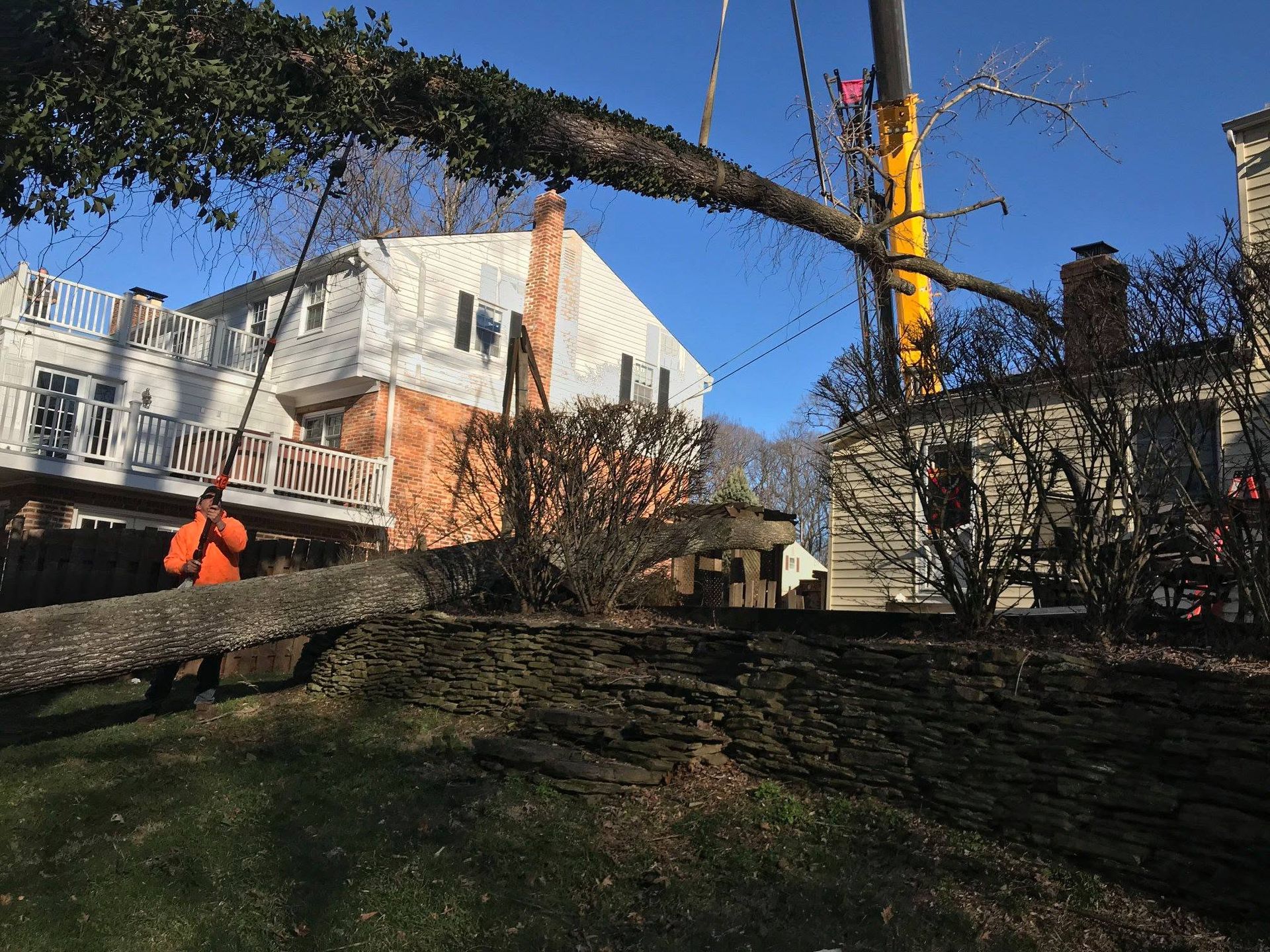 Tree trimming in a residential yard, with a crane lifting a large branch near a white house.