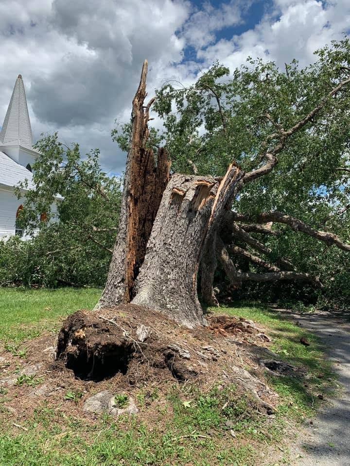 Uprooted tree stump with broken trunk in a grassy yard under cloudy skies