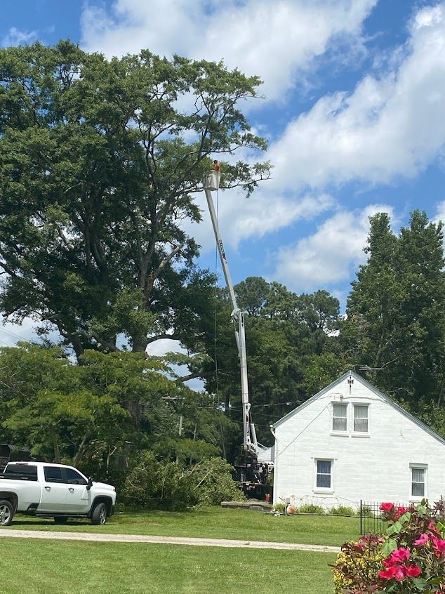 White house with a tall tree being cut by a crane, with a white pickup truck and pink flowers in front.