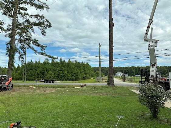Work truck with boom lift by a roadside, beside tall pine trees and a grassy field under a cloudy sky