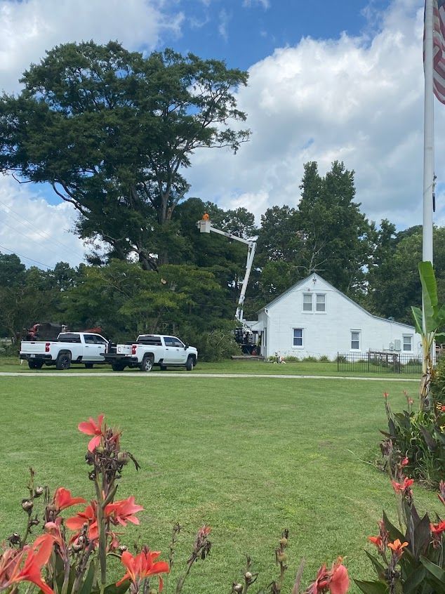 White house with two pickup trucks on a grassy lawn under a large tree and partly cloudy sky