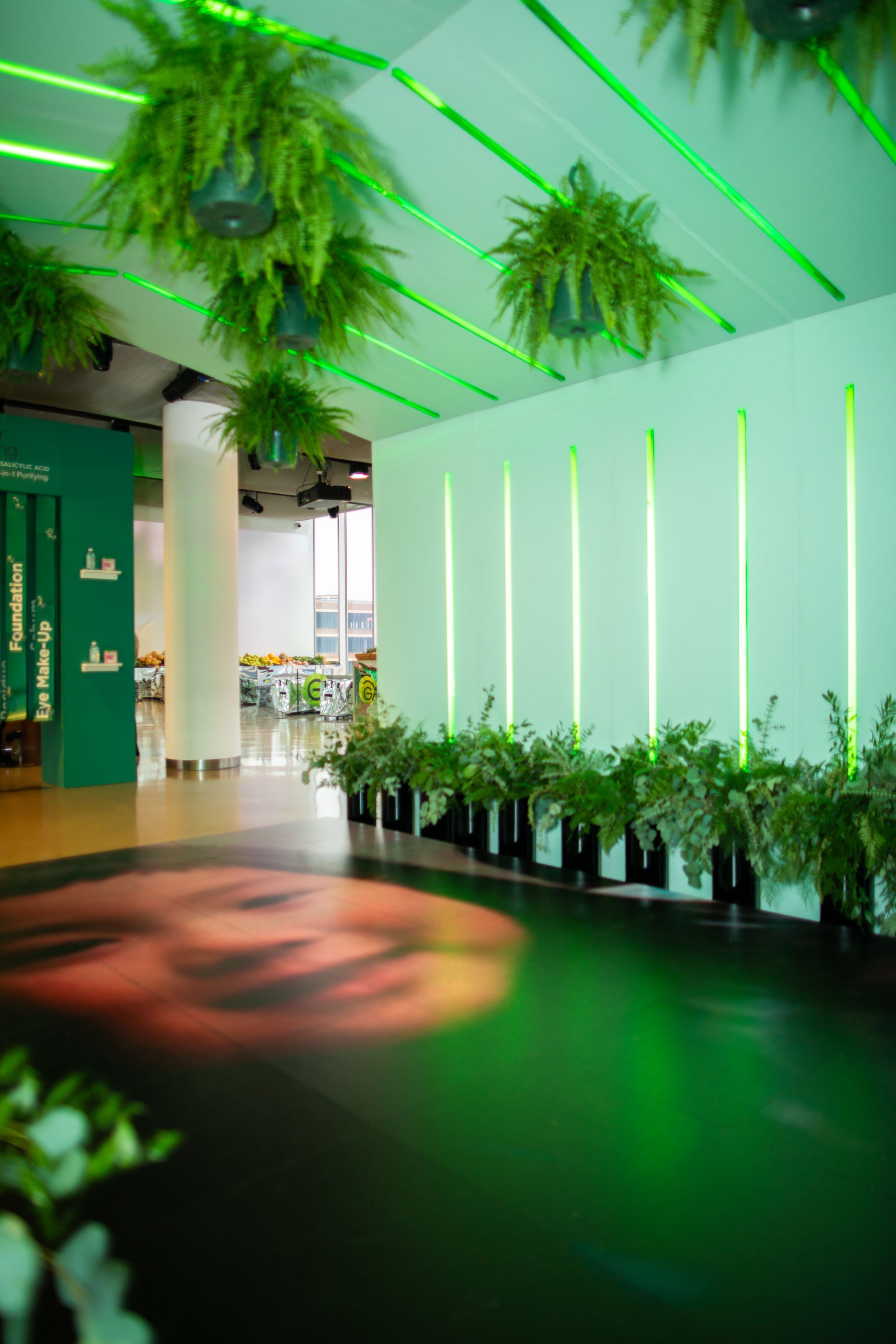 A room with lots of potted plants hanging from the ceiling.