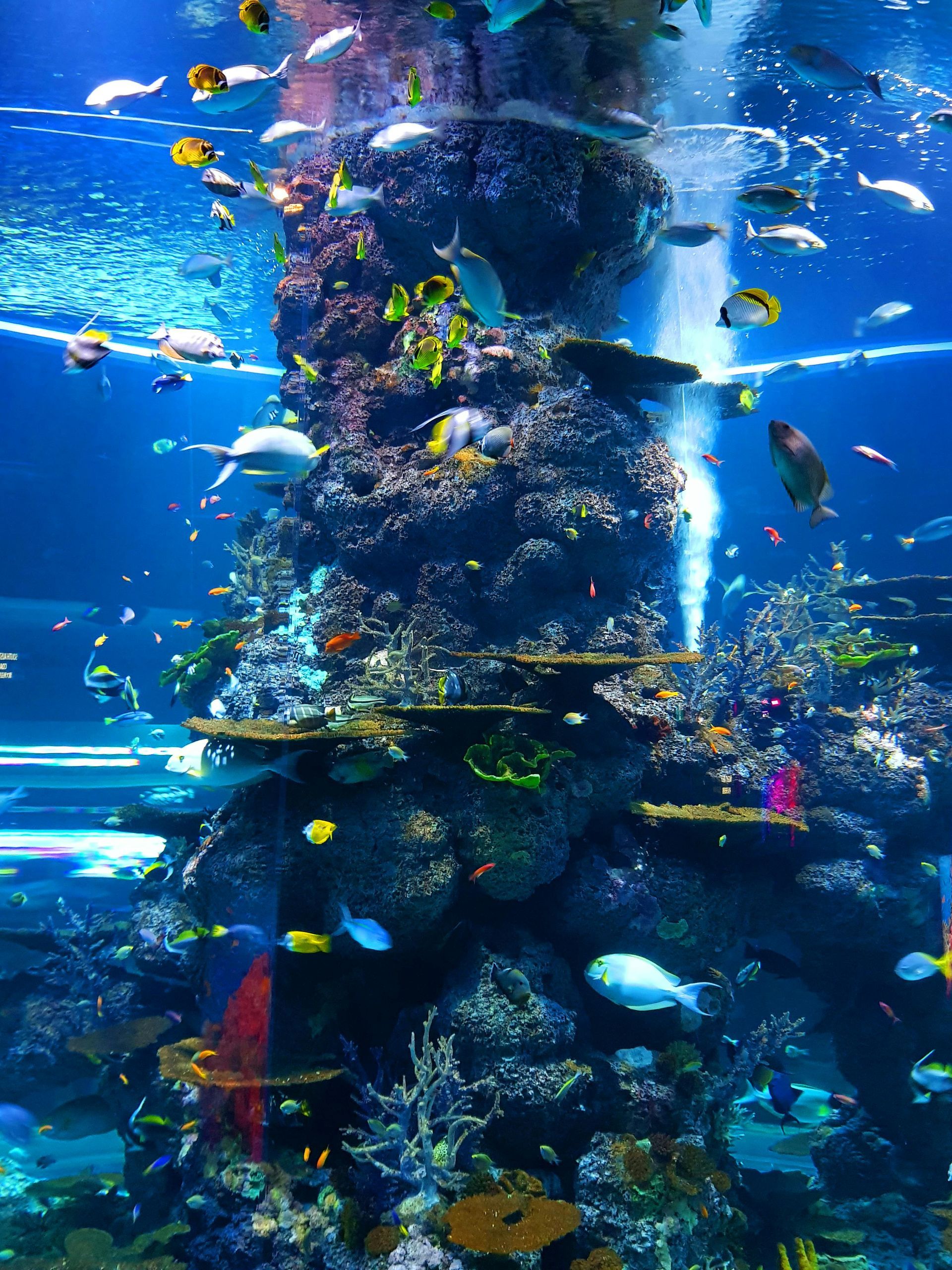 picture of aquarium