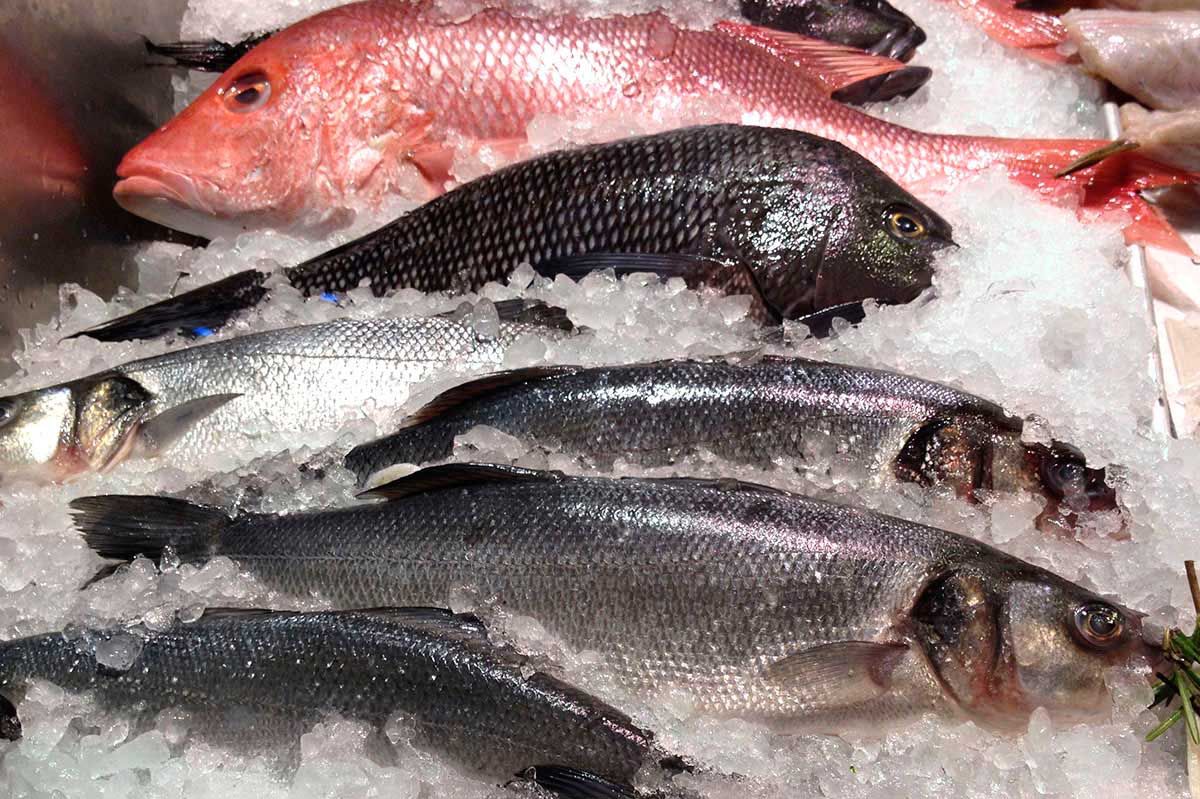 picture of processed seafood