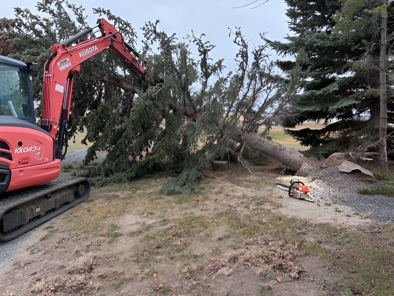 Red excavator clearing a fallen tree in a yard beside a gravel driveway