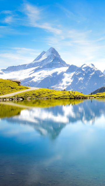 Snowy mountain reflected in a calm blue lake under a clear sky, with green grassy shore.