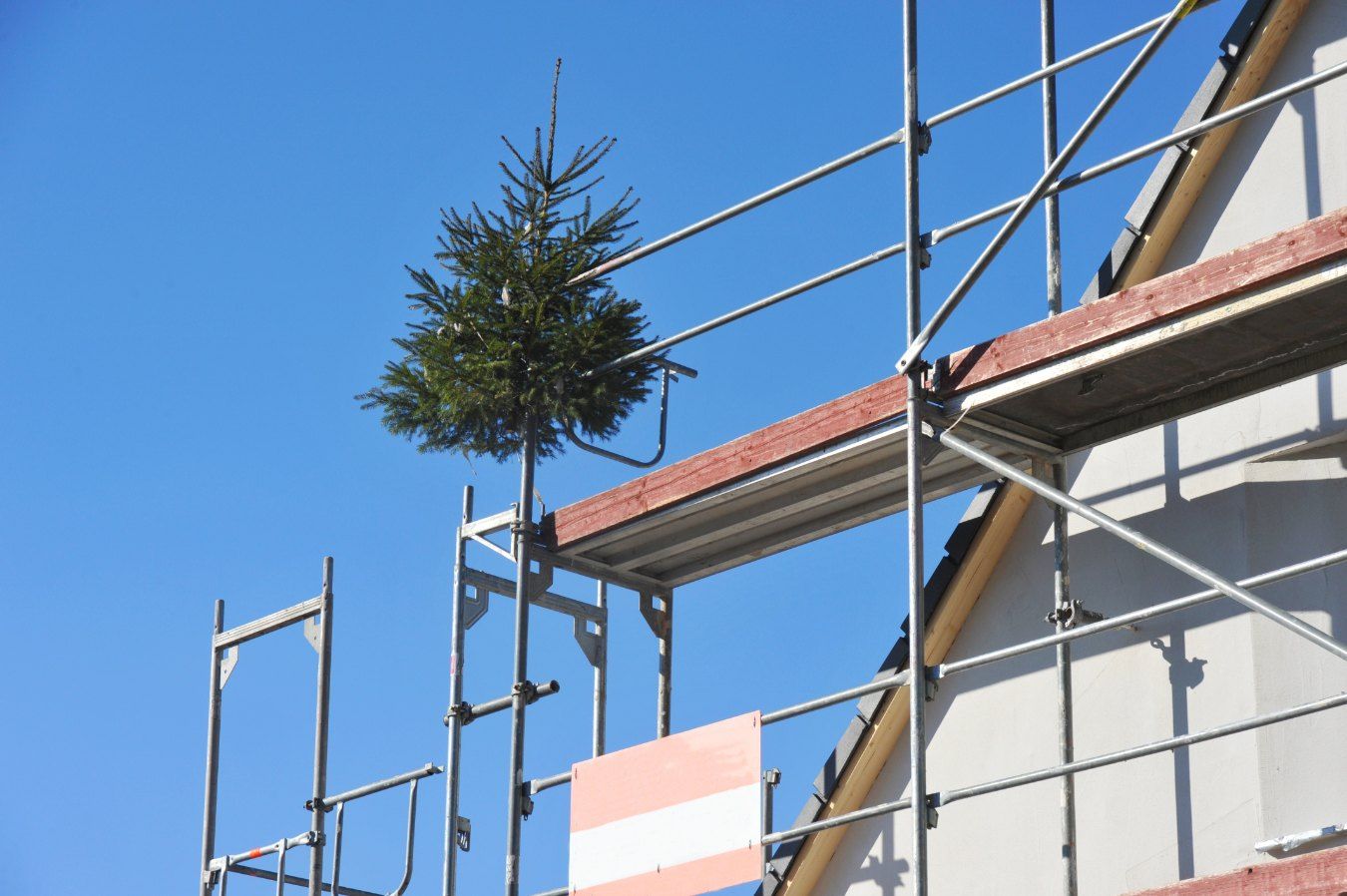 A Scaffolding With a Tree on Top of It — Byron Bay Scaffold in Byron Bay, NSW