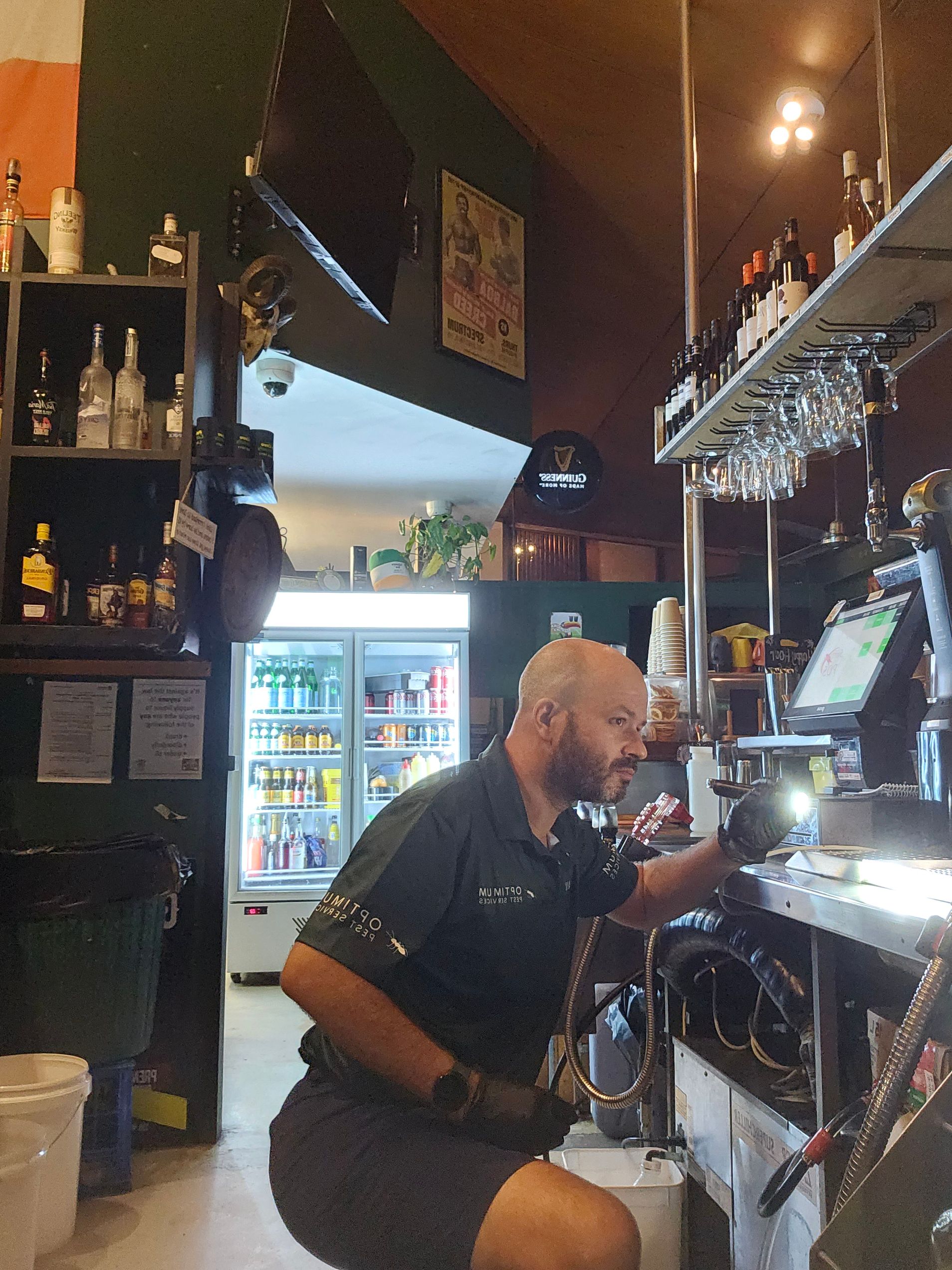 Pest Control in Cairns Optimum Pest Services