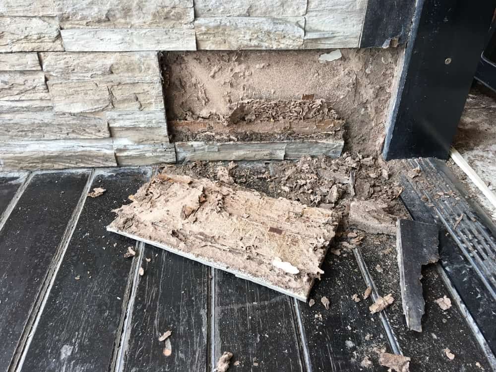 A Piece of Wood is Laying on a Wooden Floor Next to a Brick Wall — Optimum Pest Services In Gordonvale, QLD