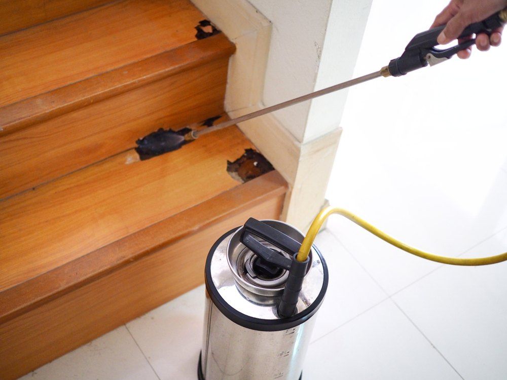 Person Sprays Insecticide on Damaged Wooden Stairs — Optimum Pest Services In Gordonvale, QLD