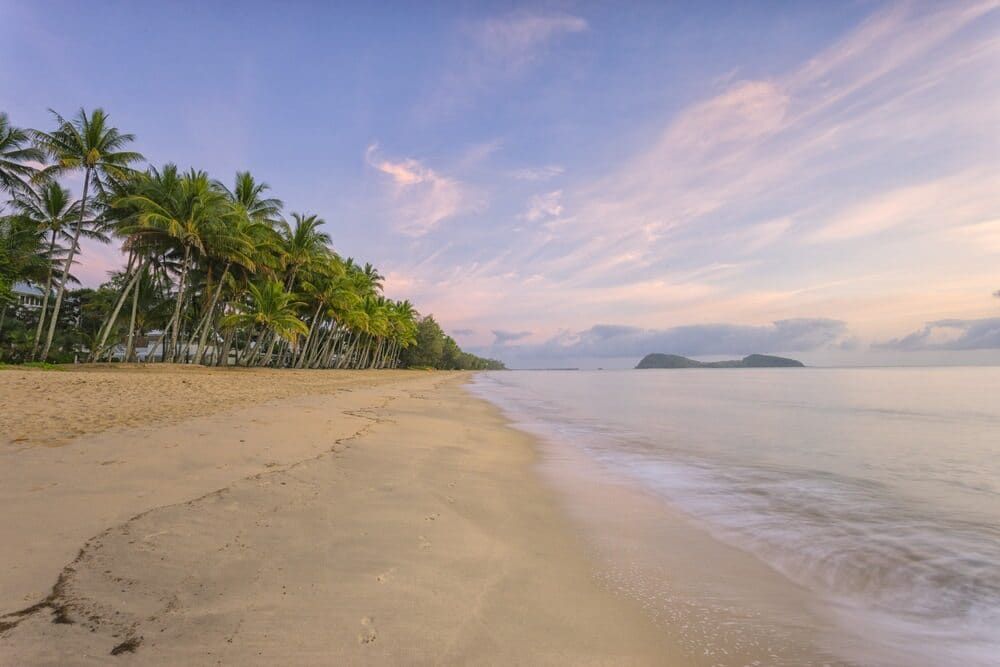 A Beach With Palm Trees and a Body of Water at Sunset — Optimum Pest Services In Palm Cove, QLD