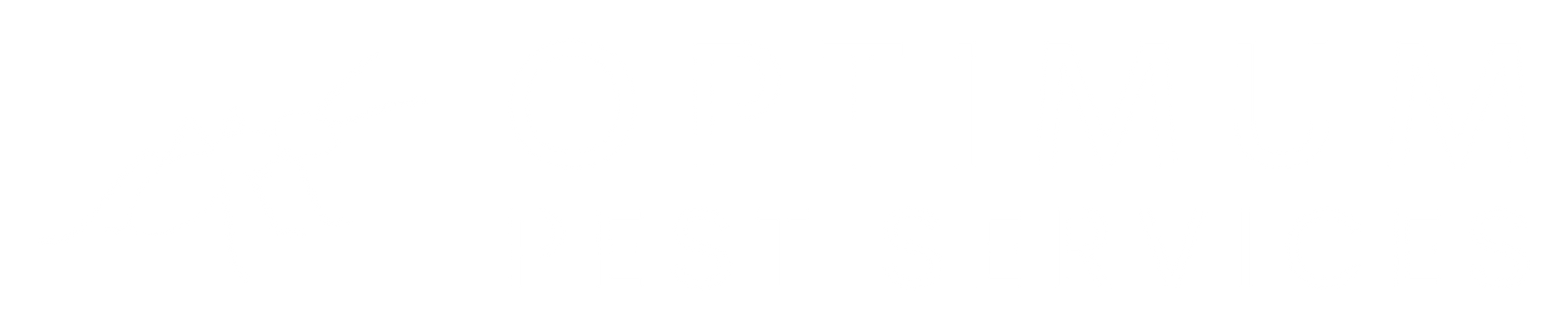 Pest Control Cairns