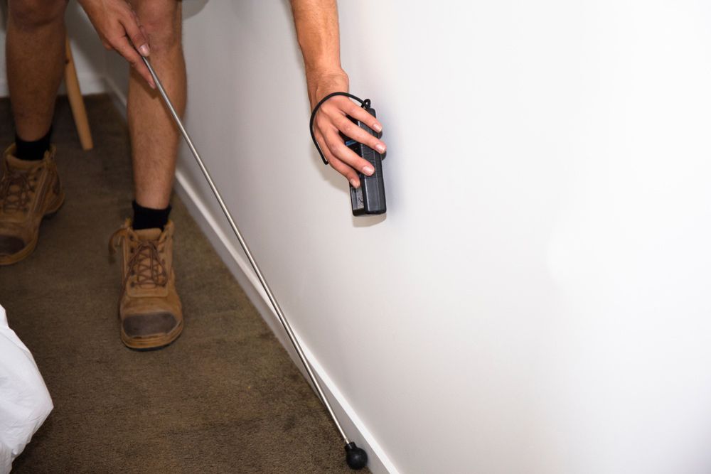 A Person is Measuring a Wall With a Tape Measure — Optimum Pest Services In Edge Hill, QLD