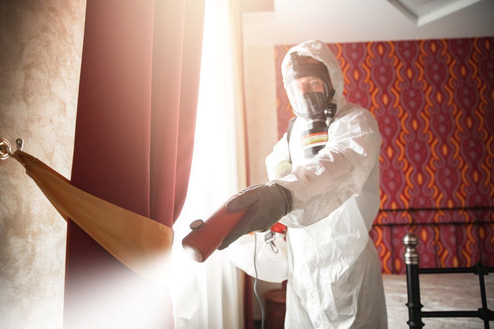 Person in Hazmat Suit Spraying Disinfectant in a Room — Optimum Pest Services In Gordonvale, QLD