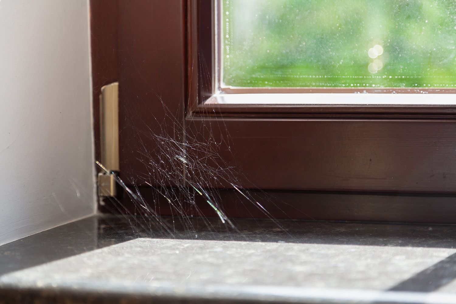 Spiderweb in the Corner of a Brown Window Frame