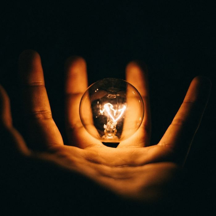 A person is holding a light bulb in their hands