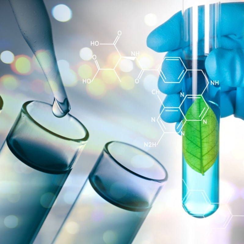 A hand is holding a test tube with a green leaf in it