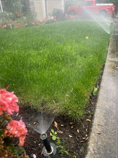 Sprinkler System in Commercial Landscape