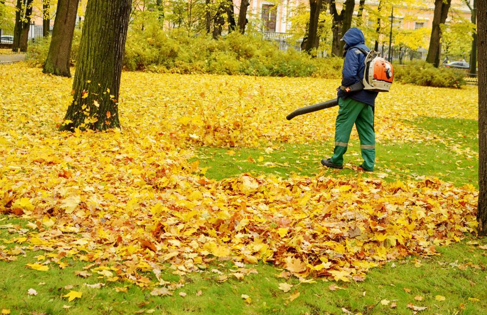 One-Time Yard Cleanups