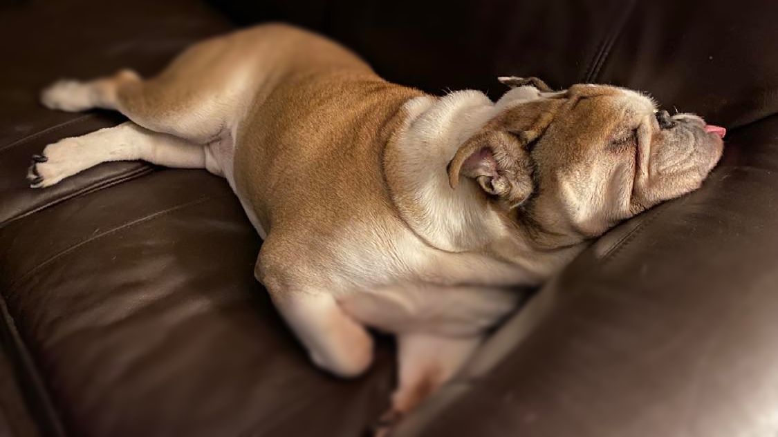 Consistent NAPs to grow your business? Yep!