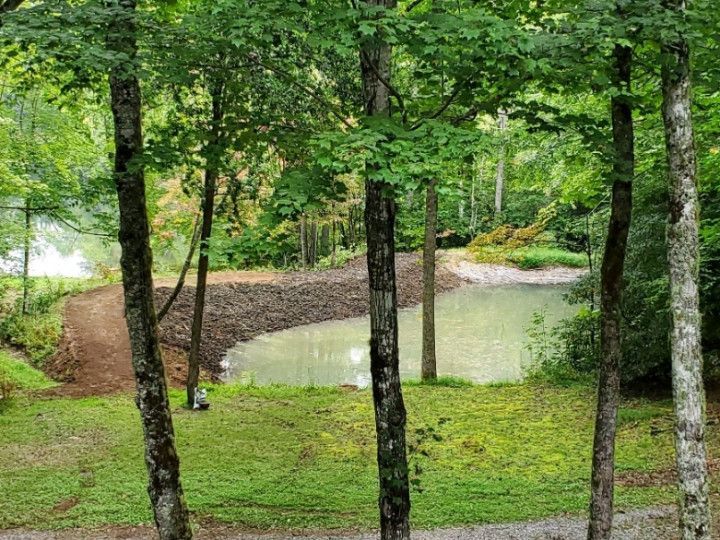 A small pond in the middle of a forest surrounded by trees
