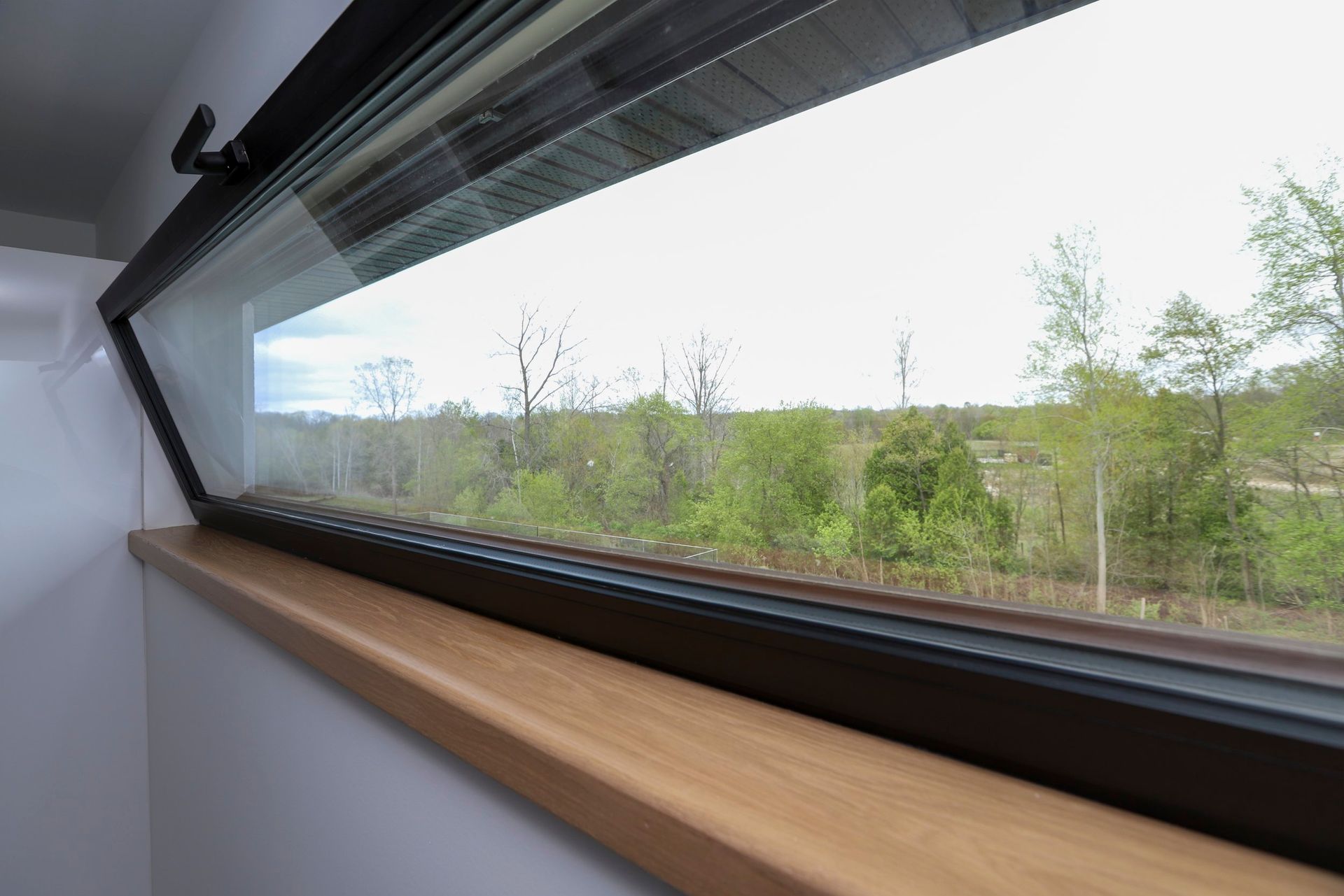 A large window with a view of a forest.