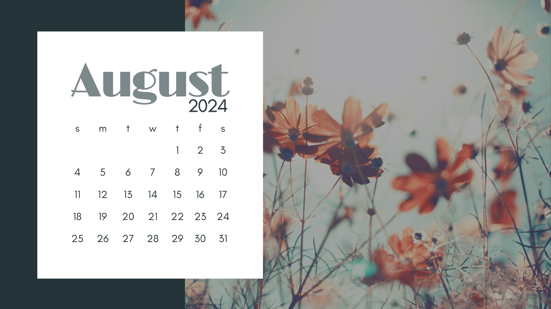 August 2024 Desktop Wallpaper
