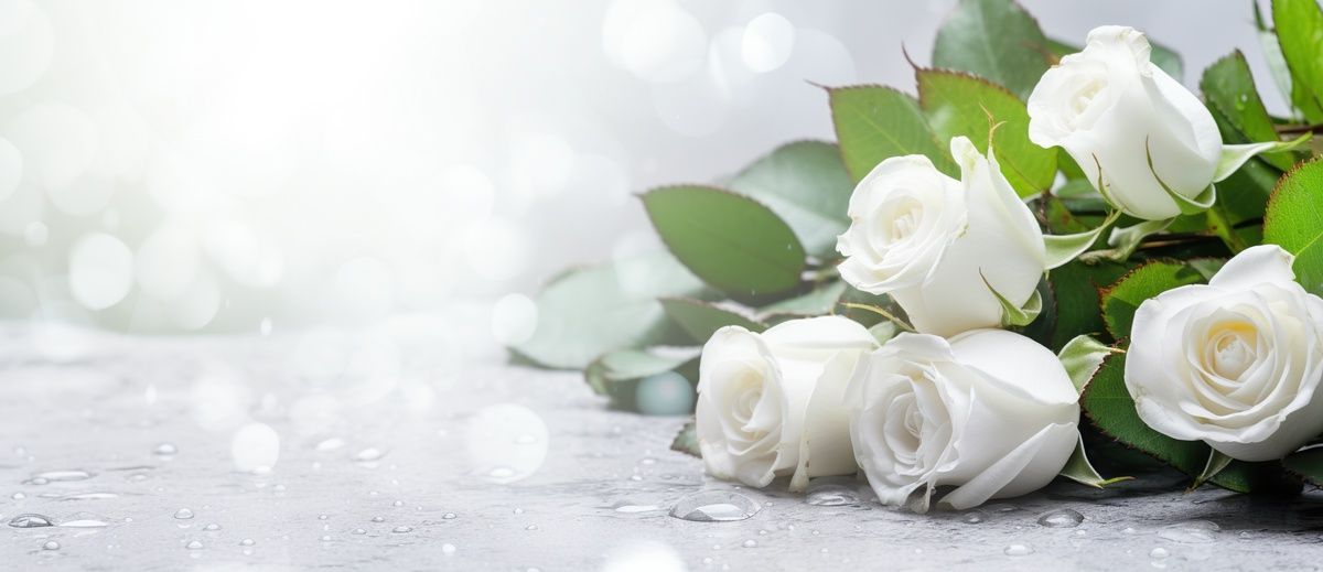 White roses with green leaves on a soft white, sparkly background