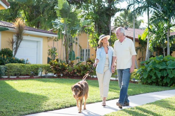 A man and woman are walking a dog down a sidewalk.
