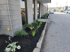 A narrow garden bed with mulch and assorted green plants sits alongside a textured grey building next to a gravel lot.